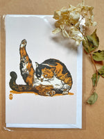 Arrogant cat greeting card