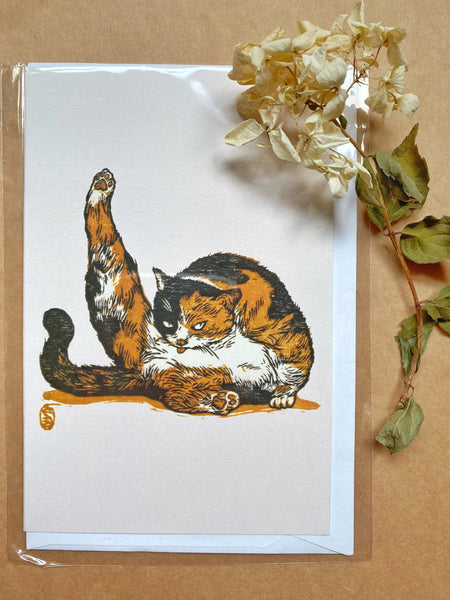 Arrogant cat greeting card