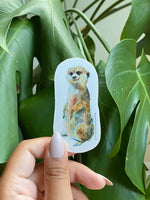Meerkat Watercolour Vinyl Sticker