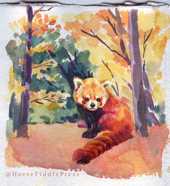 Red Panda in the Woods
